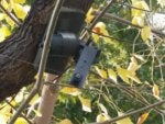20161025_170605_1477443732454.jpg