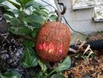 20171031_172109b.jpg