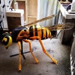 Honeybee Yellow Product Bee Insect