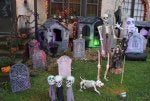 playhouses6.jpg