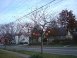 DSC01383.jpg