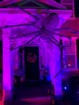 Purple Light Violet Pink Lighting