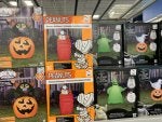 Product Pumpkin Drink Collection