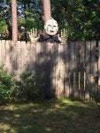 IMG_1194.JPG