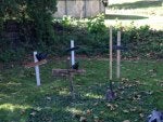 Land lot Cemetery Grass Tree Yard