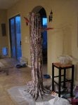 IMG_7544.jpg