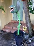 Houseplant Flowerpot Plant Flower Tree