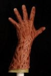 Hand Finger Glove Thumb Flesh