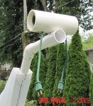 Tree Plant Shrub Pipe