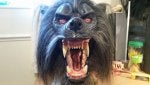 Snout Fang Tooth Mouth Dog breed