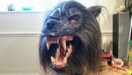 Snout Tooth Werewolf Fang Mouth