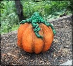 Pumpkin Calabaza Winter squash Cucurbita Vegetable