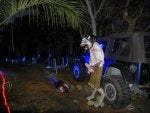 All-terrain vehicle Vehicle Off-roading Tree Tire