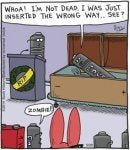 Cartoon Comics Parallel