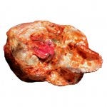 Food Chicken meat Dish Cuisine Turkey meat