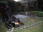 Halloweencat.jpg