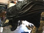 xeno1.jpg