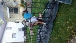 Tree Net Animal shelter Plant Leisure
