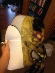 Head Neck Sports gear Personal protective equipment Jaw