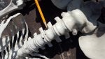 Home Depot Spine 2.jpg
