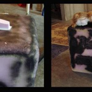 To help her stay in the correct angle on the stone, I glued a piece of foam on the top of the stone.

Prop her up so you can see how big you need to m